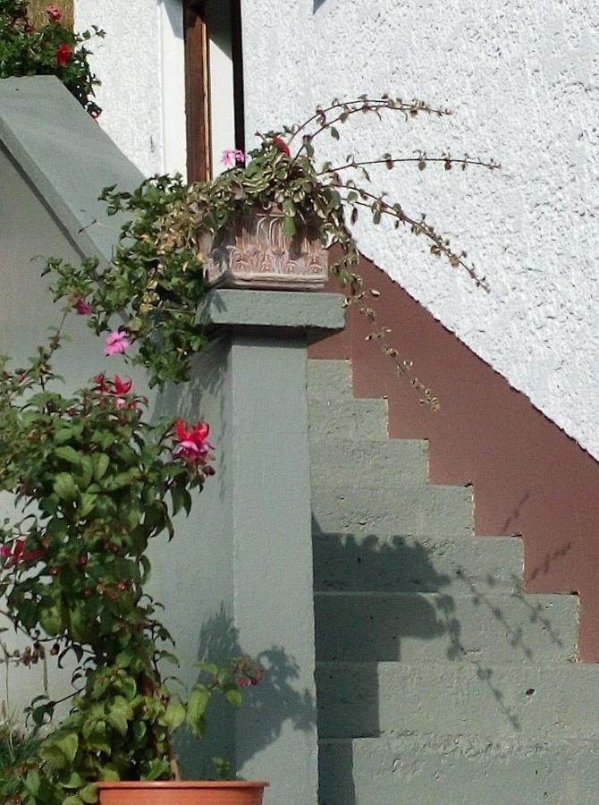 Ferienhaus Gassner Navis Exteriör bild